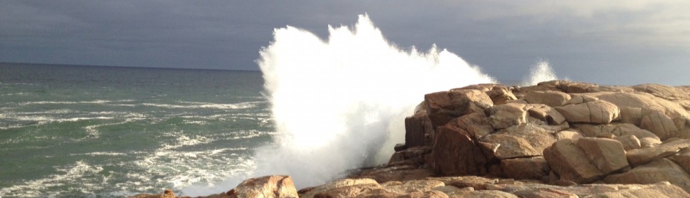 Padre Ryder's Journal